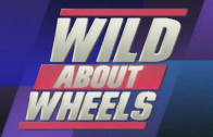 Wild About Wheels – Auto Train Racing