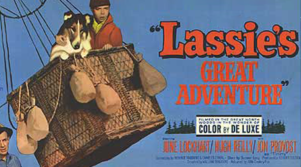 Lassie The Great Adventure Backlight